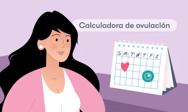 Saber cuándo ovulas te ayuda a identificar qué días puedes quedarte embarazada.