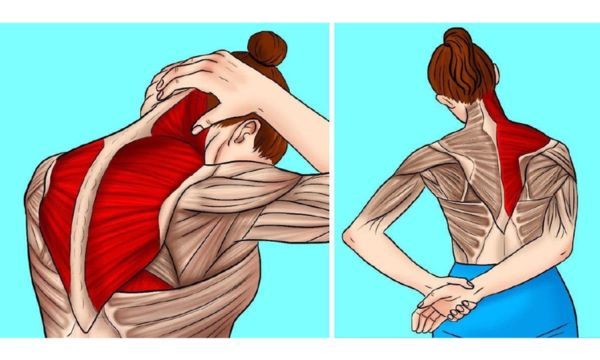 Estiramientos-para-cervicales-(Fuente-Google)